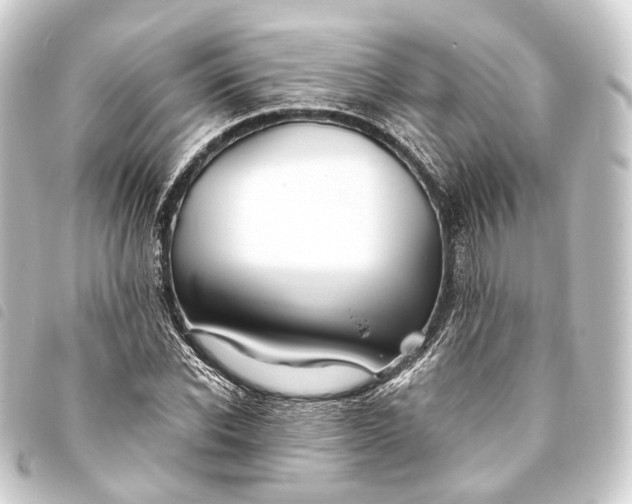 X0000093760926200710301141