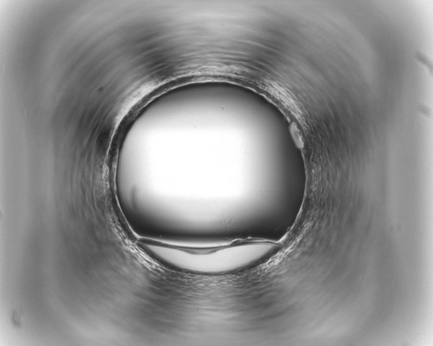 X0000093760928200710301141