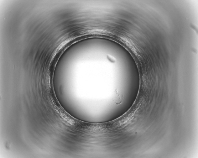 X0000093760931200710301142