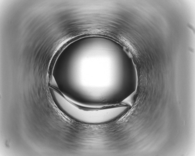 X0000093760932200710301142