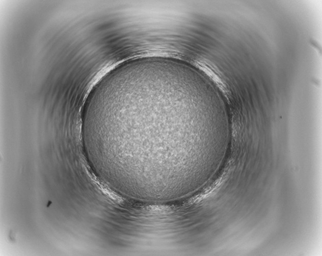 X0000093760933200710301142