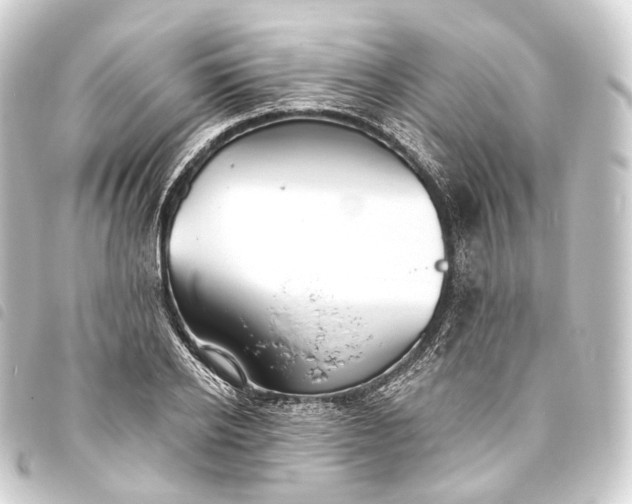 X0000093760934200710301142