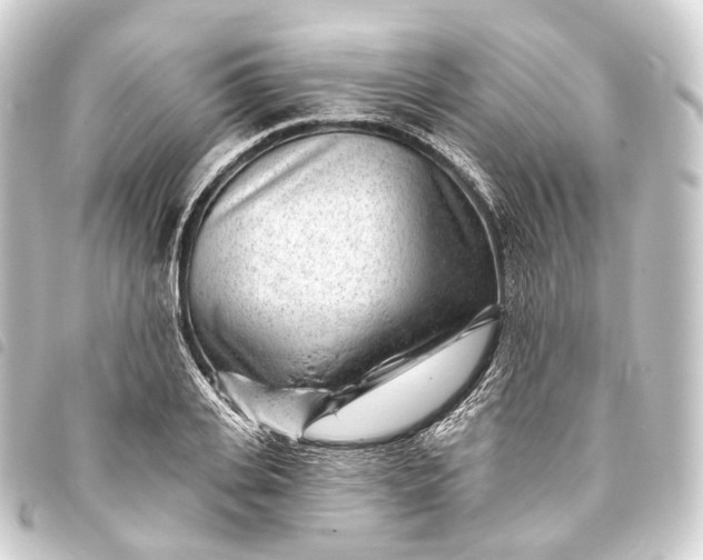 X0000093760935200710301142