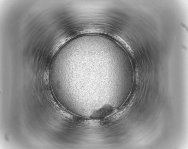 X0000093760937200710301142