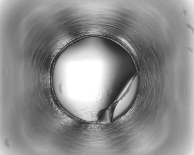 X0000093760938200710301142