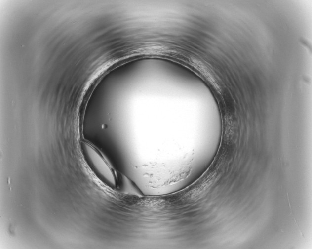 X0000093760939200710301142