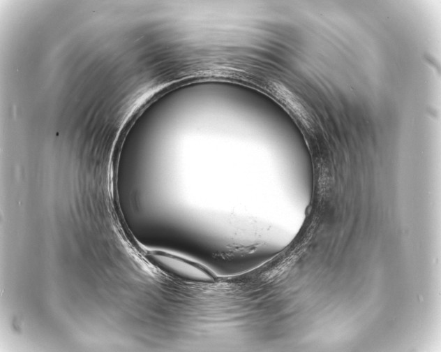 X0000093760940200710301142