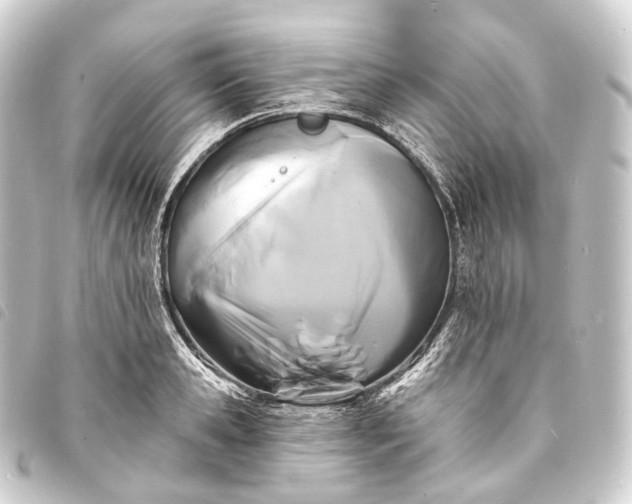 X0000093760941200710301142