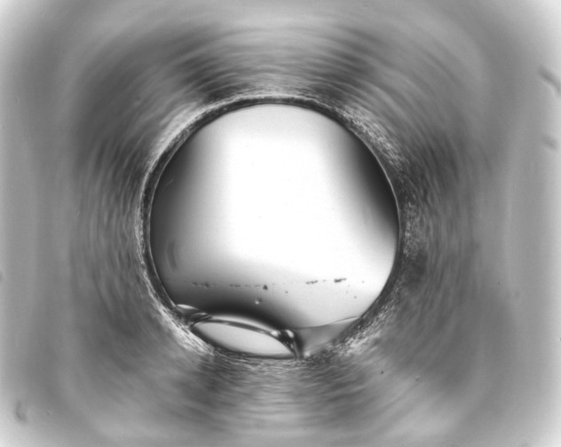 X0000093760942200710301142