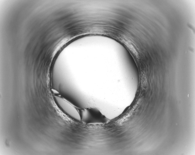 X0000093760944200710301142