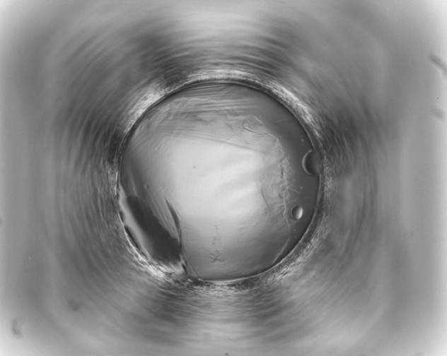 X0000093760945200710301142