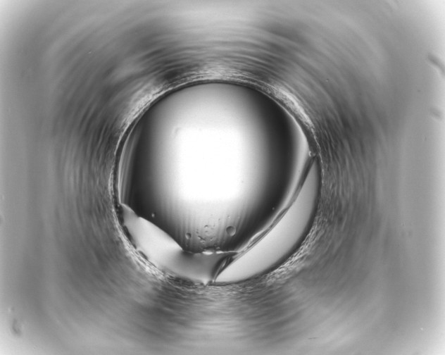 X0000093760946200710301142