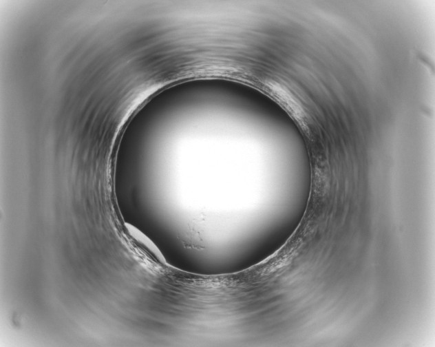 X0000093760948200710301142