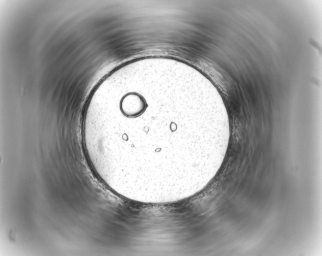 X0000093760950200710301142