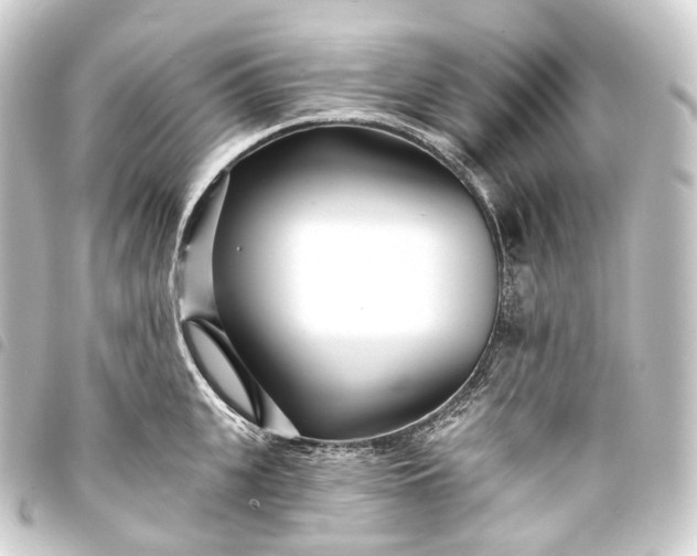 X0000093760951200710301142