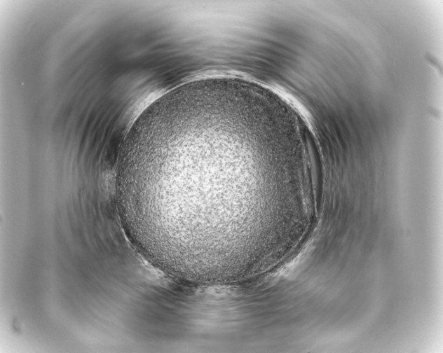 X0000093760953200710301142