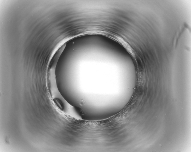 X0000093760955200710301142