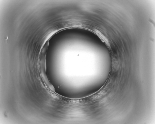 X0000093760956200710301142