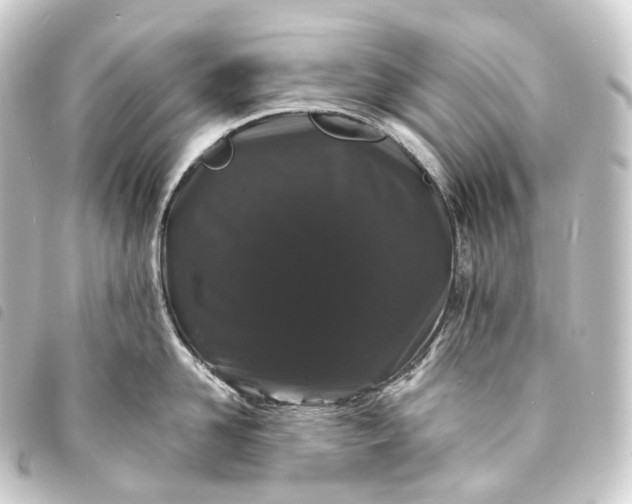 X0000093760958200710301142