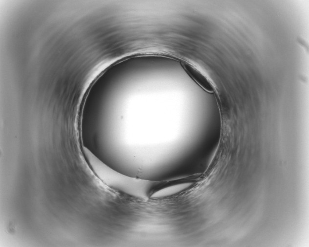 X0000093760959200710301142