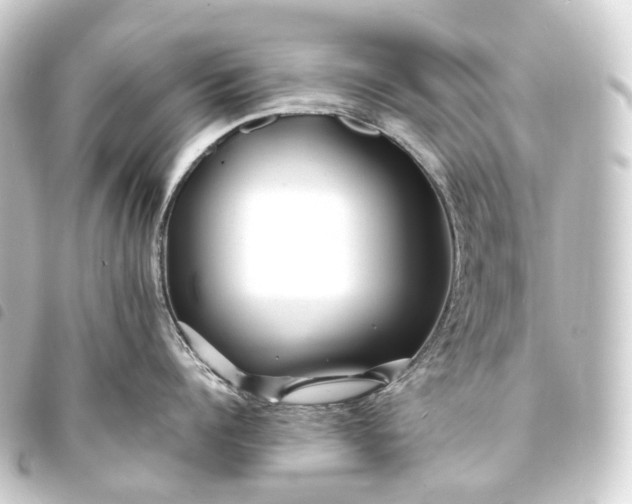 X0000093760960200710301142