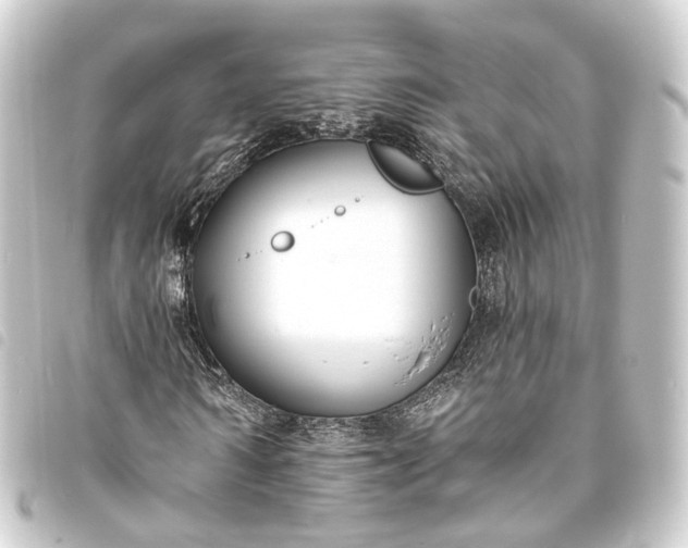 X0000093760962200710301141