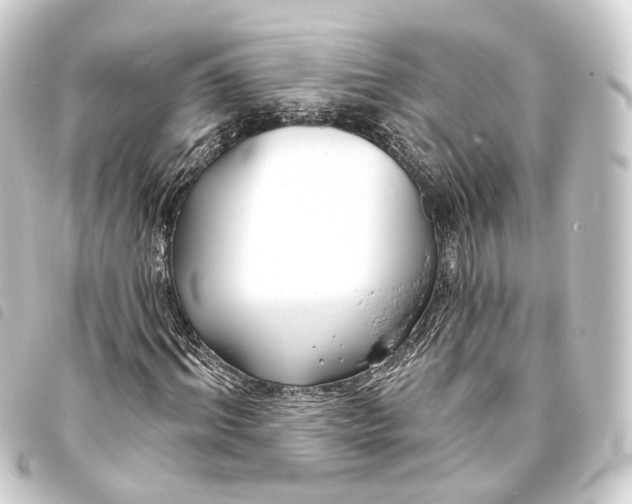 X0000093760964200710301141