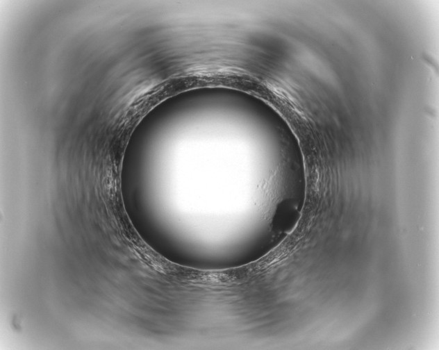 X0000093760966200710301141