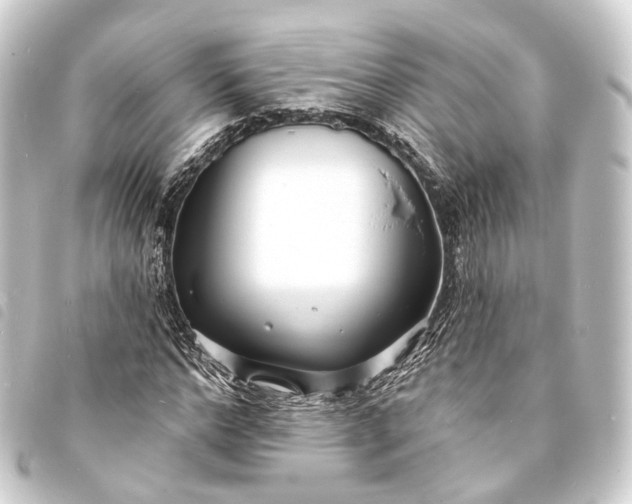 X0000093760968200710301141