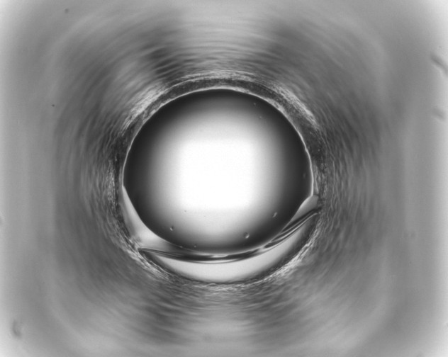 X0000093760969200710301141