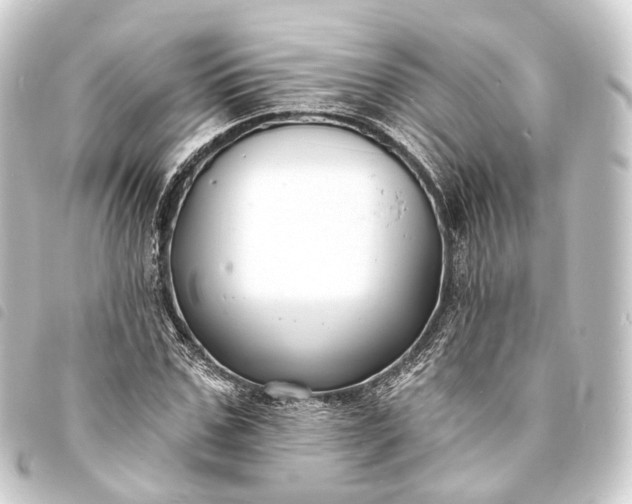 X0000093760971200710301141