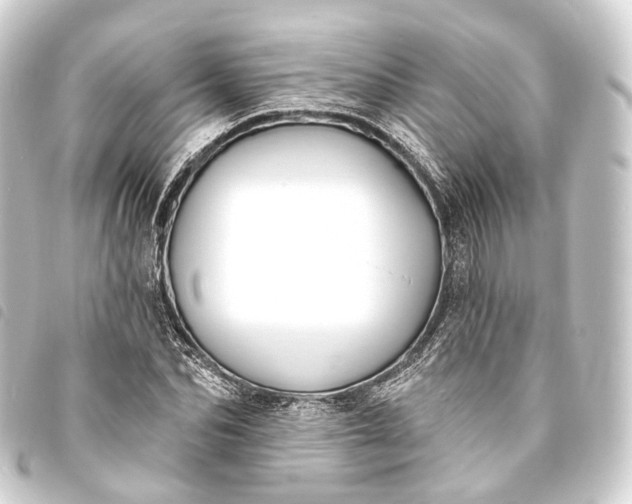 X0000093760974200710301141