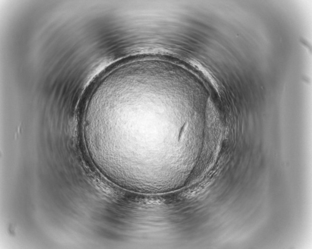 X0000093760975200710301141