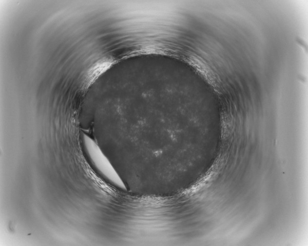 X0000093760977200710301141