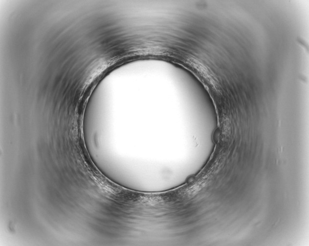 X0000093760978200710301141