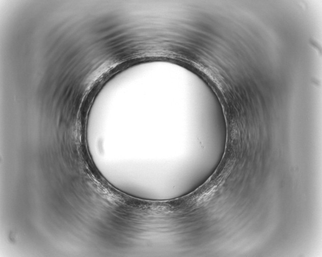 X0000093760979200710301141