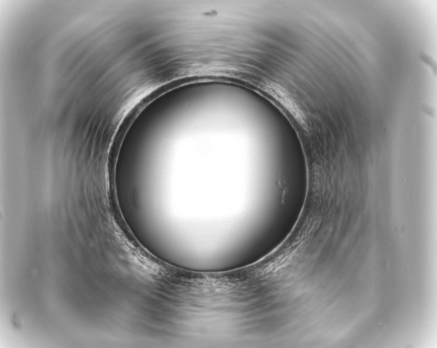 X0000093760980200710301141