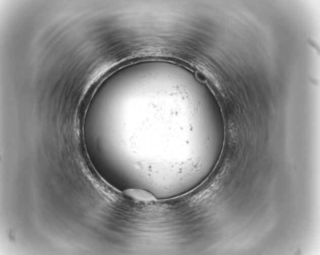 X0000093760981200710301141