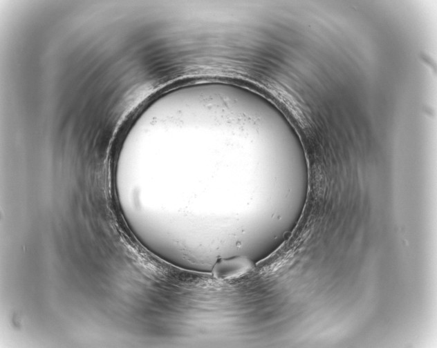 X0000093760982200710301141