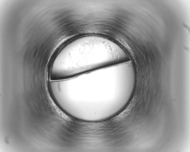 X0000093760984200710301141