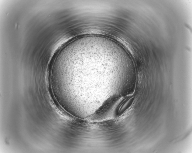 X0000093760987200710301141