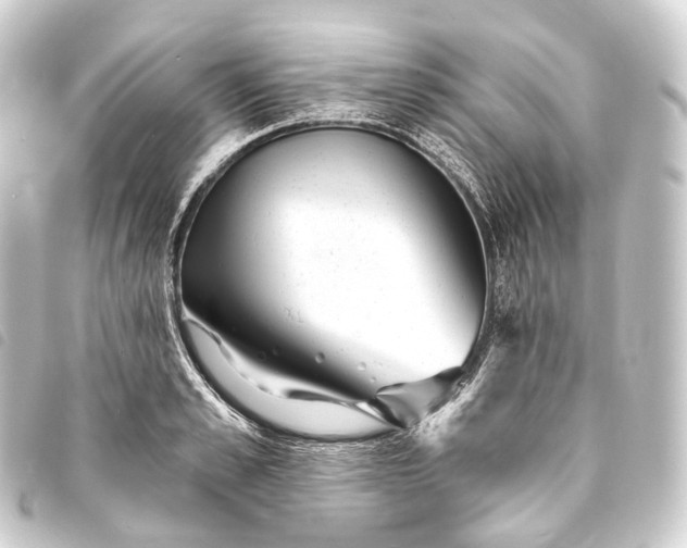 X0000093760989200710301141