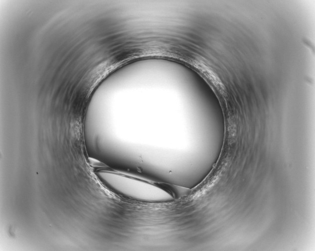 X0000093760993200710301141