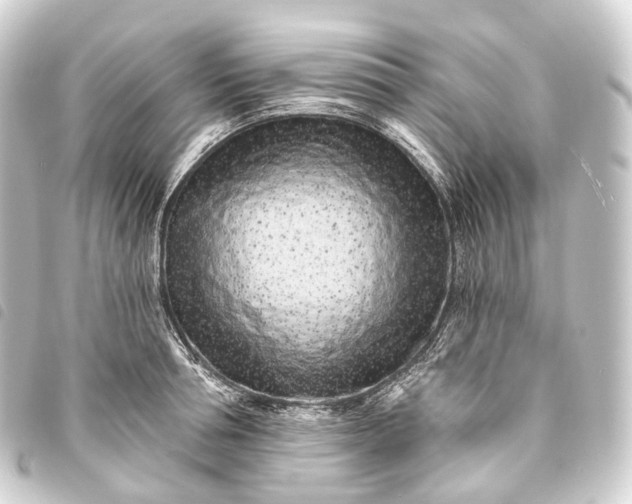 X0000093760994200710301141