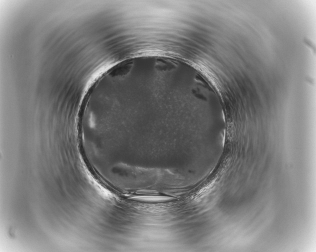 X0000093760995200710301141