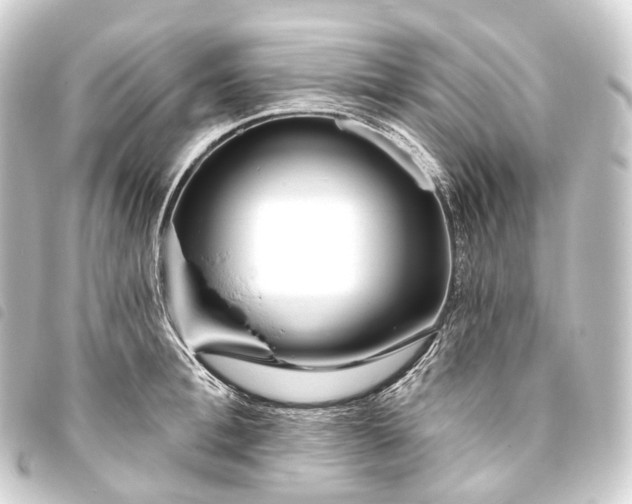 X0000093760996200710301141