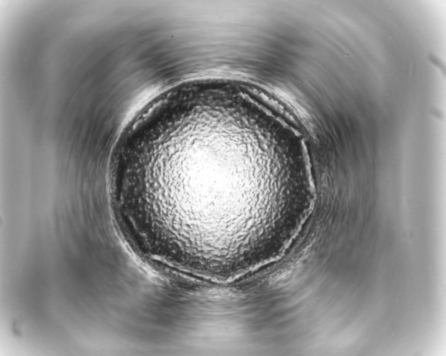 X0000093760998200710301141