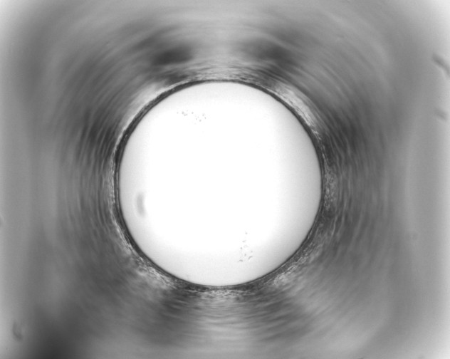 X0000093761000200710301141