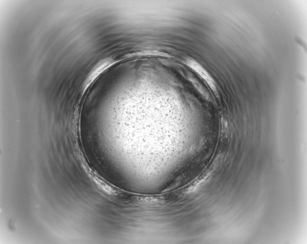 X0000093761002200710301141