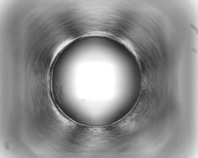 X0000093761003200710301141